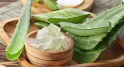 Sapone Rettangolare con Aloe Vera - 100 gr