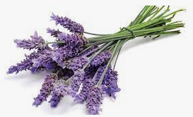 Sapone Sapone cubico alla Lavanda da gr 300