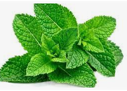 Sapone Rettangolare con Foglie di Menta - 100 gr