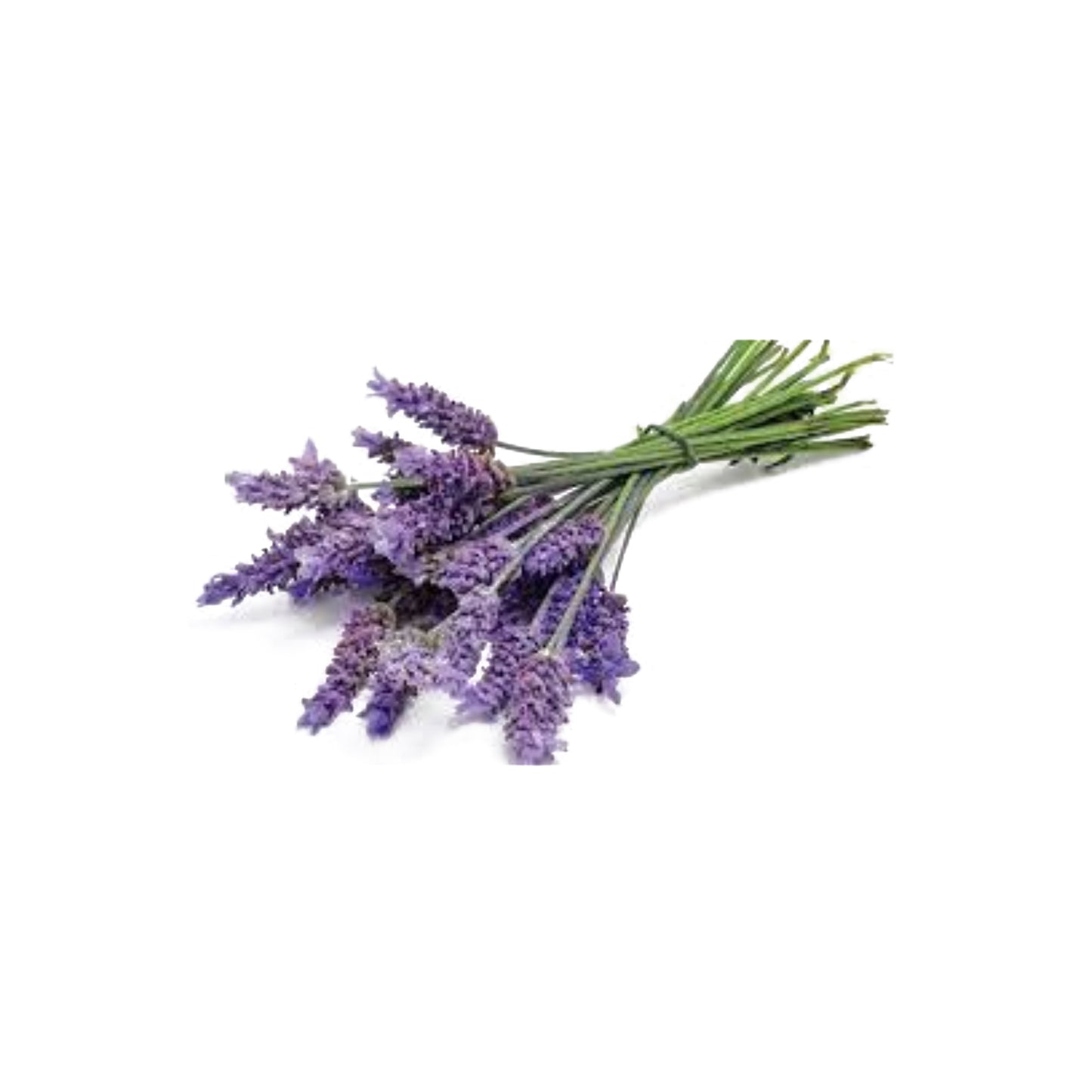 Cuscino per occhi alla Lavanda da cm 8 x 22